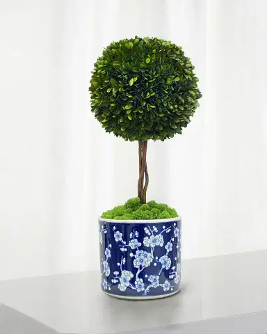 Winward Home Preserved Boxwood Ball Topiary In Round Porcelain Vase - 24" | Thumbnail 1