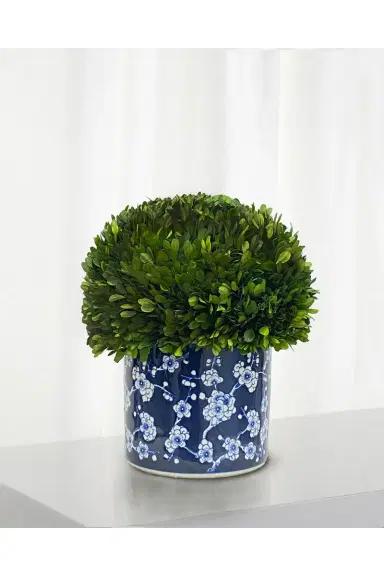 Winward Home Preserved Boxwood Half Ball Topiary In Porcelain Pot - 15" | Thumbnail 2