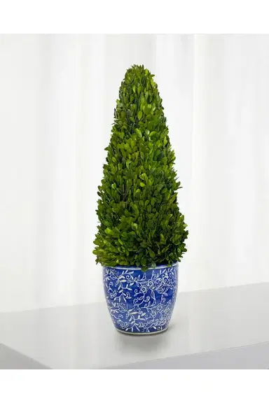 Winward Home Preserved Boxwood Cone Topiary In Porcelain Lotus Pot - 28" | Thumbnail 2