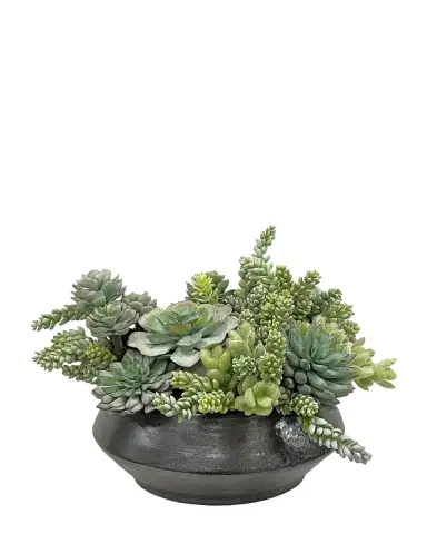 Winward Home Succulents in Planter | Thumbnail 2
