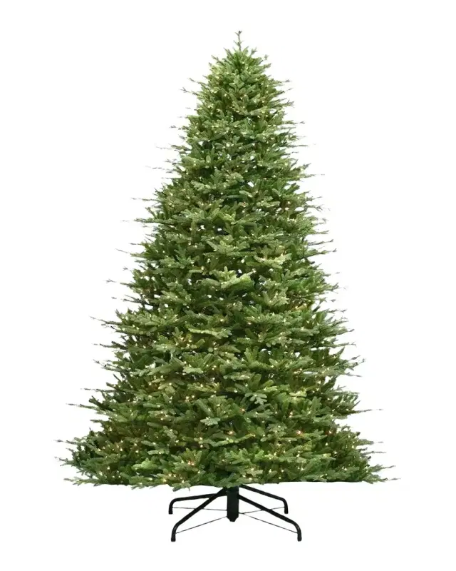 Winward Home Full St. Catherine 12 ' Pre-Lit Christmas Tree