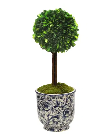 Winward Home 17" Faux Boxwood Topiary in Porcelain Pot | Thumbnail 2