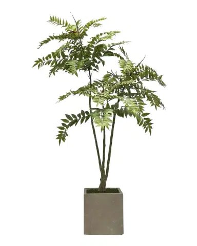 Winward Home Faux Toona Sinensis Tree in Fiberglass Planter, 80" Tall | Thumbnail 1