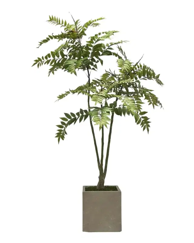 Winward Home Faux Toona Sinensis Tree in Fiberglass Planter, 80" Tall