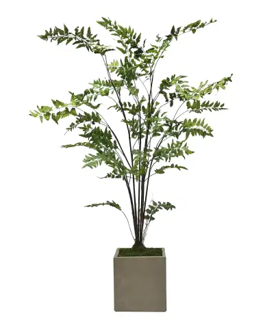Winward Home Faux Fern Tree in Fiberglass Planter, 70" Tall | Thumbnail 2