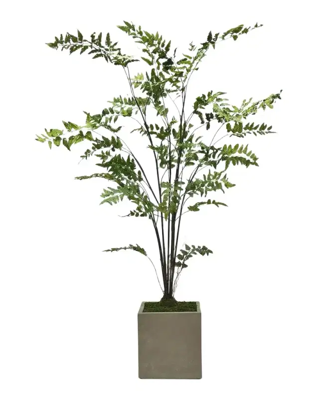 Winward Home Faux Fern Tree in Fiberglass Planter, 70" Tall