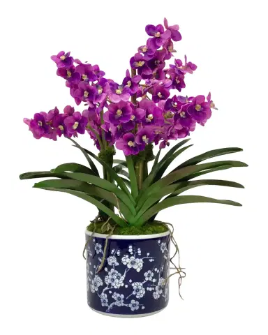 Winward Home Vanda Orchids 25" Faux Floral Arrangement in Porcelain Pot | Thumbnail 2