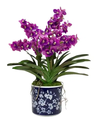 Winward Home Vanda Orchids 25" Faux Floral Arrangement in Porcelain Pot | Thumbnail 1
