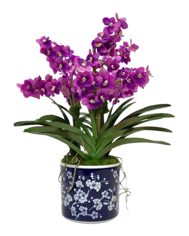 Winward Home Vanda Orchids 25" Faux Floral Arrangement in Porcelain Pot