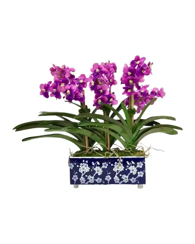 Winward Home Vanda Orchids 28" Faux Floral Arrangement in Porcelain Planter