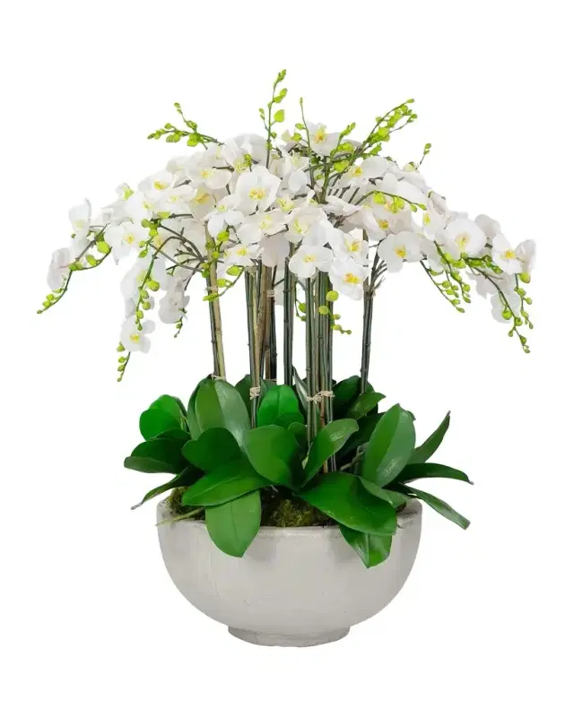 Winward Home Orchids 34" Faux Floral Arrangement in Fiberglass Bowl