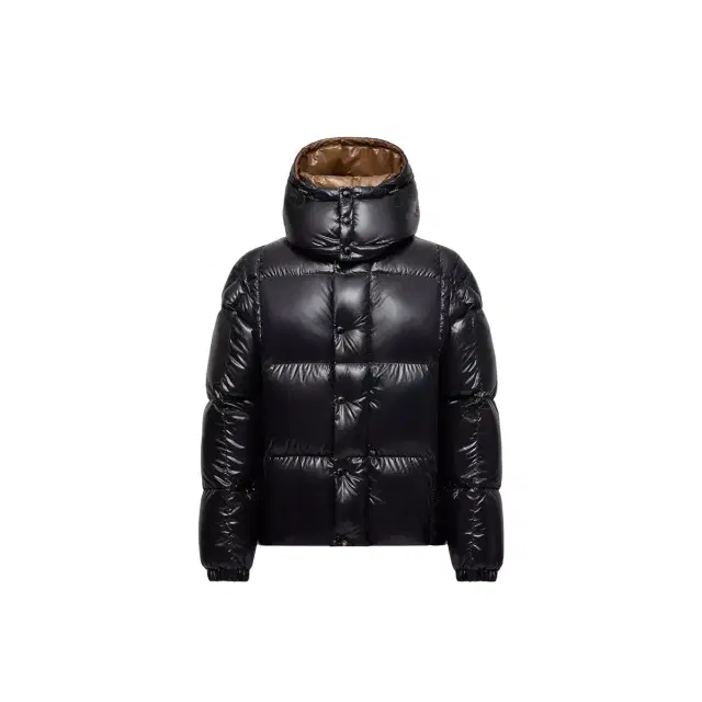 Moncler Parana Hooded Short Down Jacket