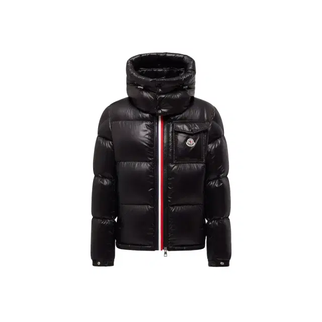 Moncler Montbeliard Hooded Short Down Jacket