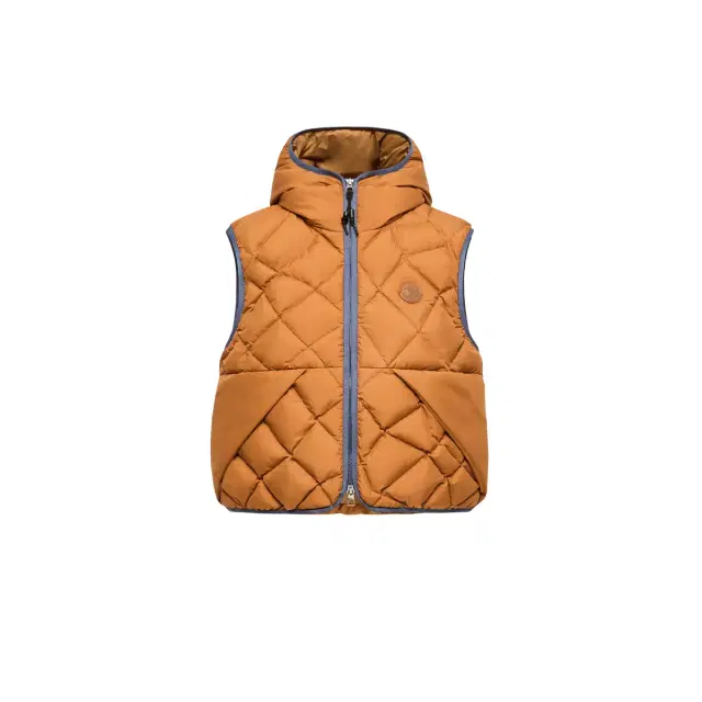 Moncler Armella Hooded Diamond-quilted Down Vest