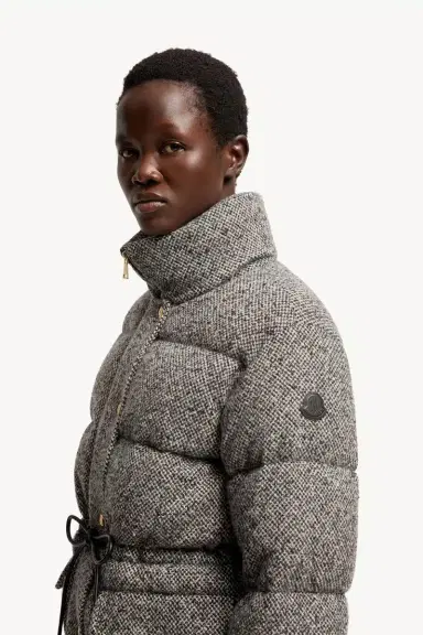 Moncler Diaphanes Hooded Short Down Jacket | Thumbnail 4 Moncler Diaphanes Hooded Short Down Jacket | Thumbnail 4