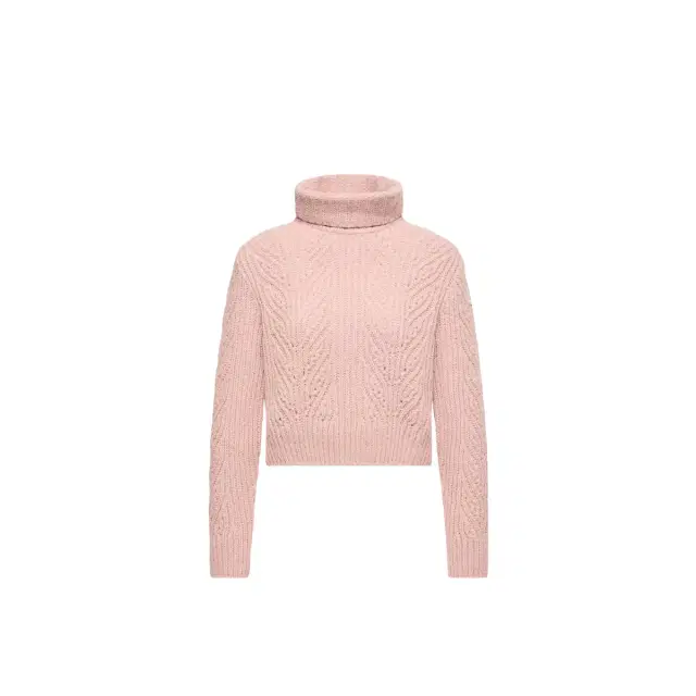 Alpaca Blend Turtleneck Sweater