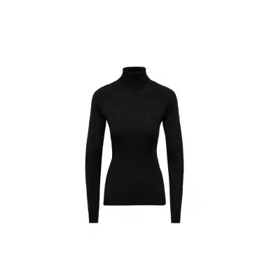Moncler Grenoble Wool Blend Turtleneck Sweater | Thumbnail 1 Moncler Grenoble Wool Blend Turtleneck Sweater | Thumbnail 1