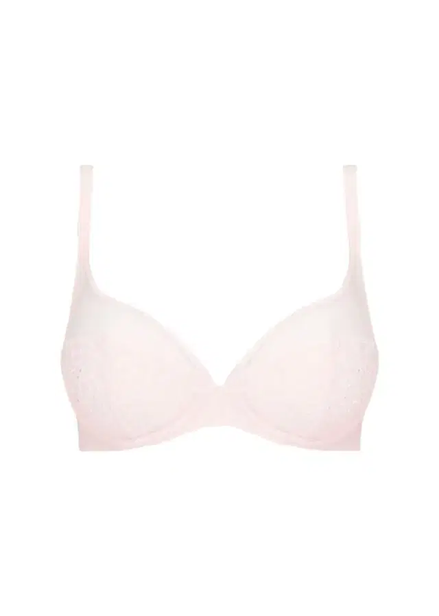 Delice Two-Part Full-Cup Sheer Plunge Bra