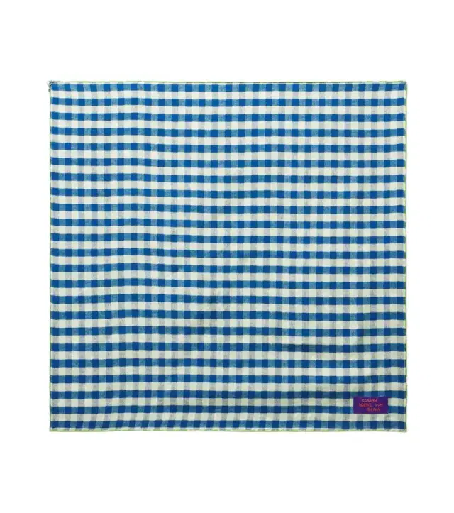 Loewe x Cosima Von Bonin checked silk twill scarf