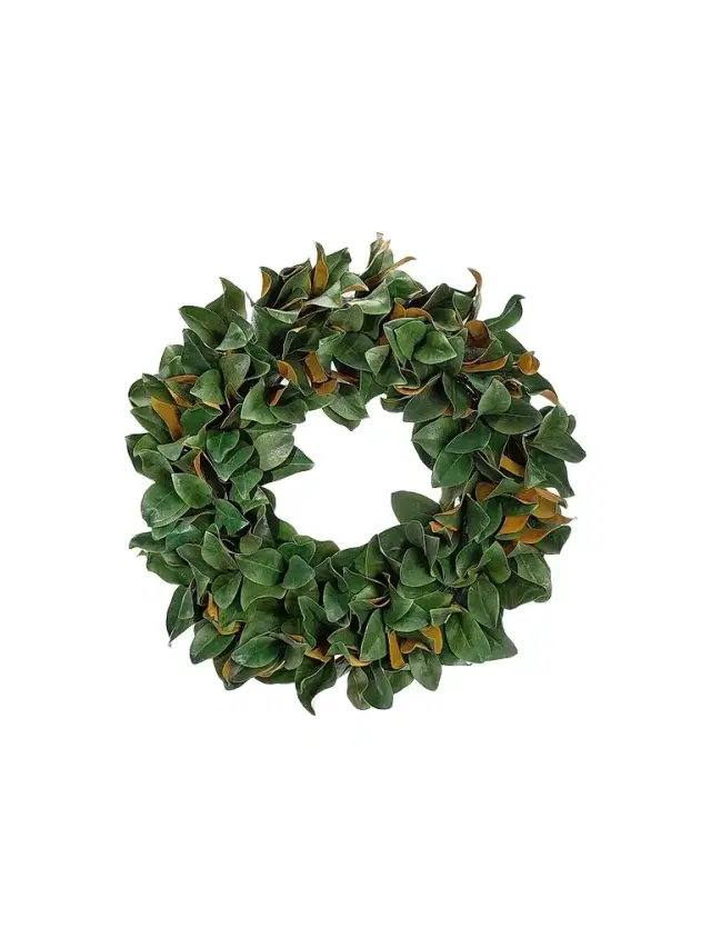 NDI Faux Magnolia Leaf Wreath