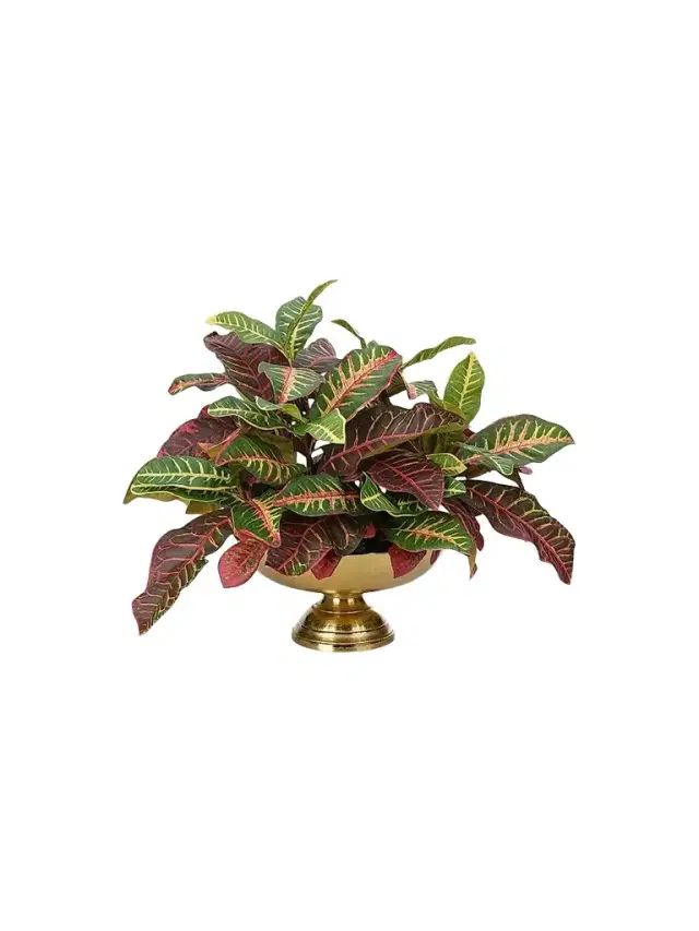 NDI Croton Faux Plant in Footed Brass Vase