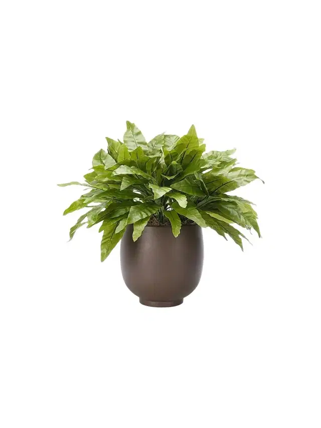 NDI Faux Bird's Nest Fern In Concrete Pot
