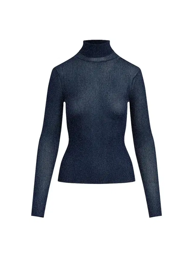 Hudson Jeans Women's Tanya Rib-Knit Turtleneck