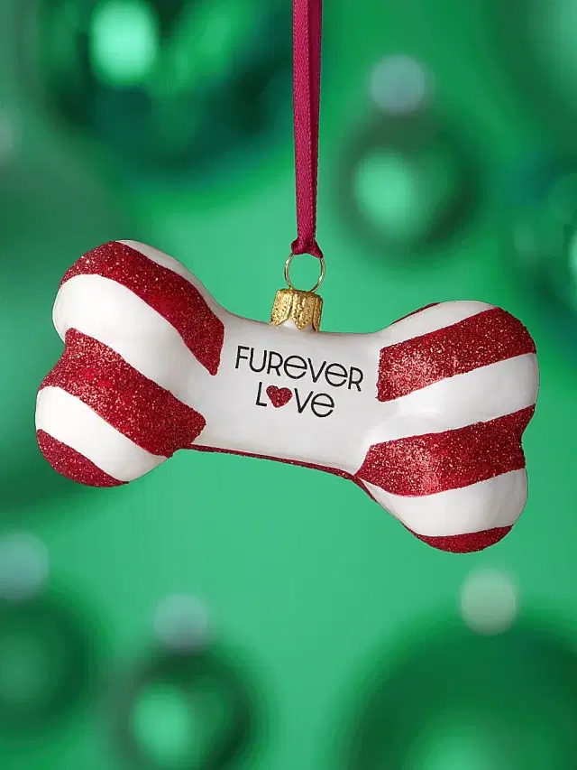 Joy To The World Bone Furever Love Glass Ornament