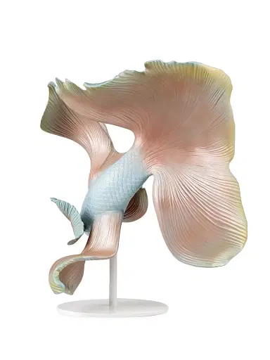 Lladro Betta Fish (Left) Sculpture | Thumbnail 4 Lladro Betta Fish (Left) Sculpture | Thumbnail 4