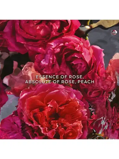 Guerlain Aqua Allegoria Rosa Rossa Forte Eau De Parfum 3-Piece Gift Set | Thumbnail 3