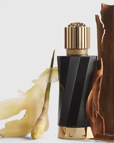 Versace Gingembre Pétillant Eau de Parfum | Thumbnail 2