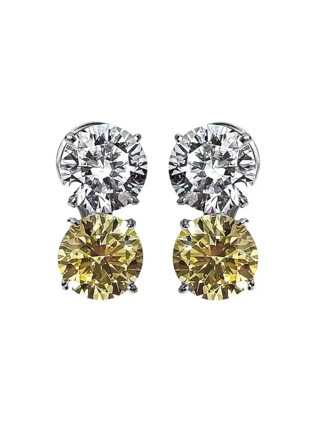 FANTASIA by DESERIO Women's Sterling Silver & 8.00 TCW Cubic Zirconia Double Stud Earrings