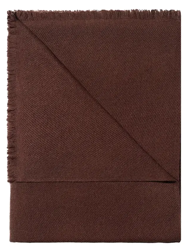 AERIN Introduction Noe Throw
