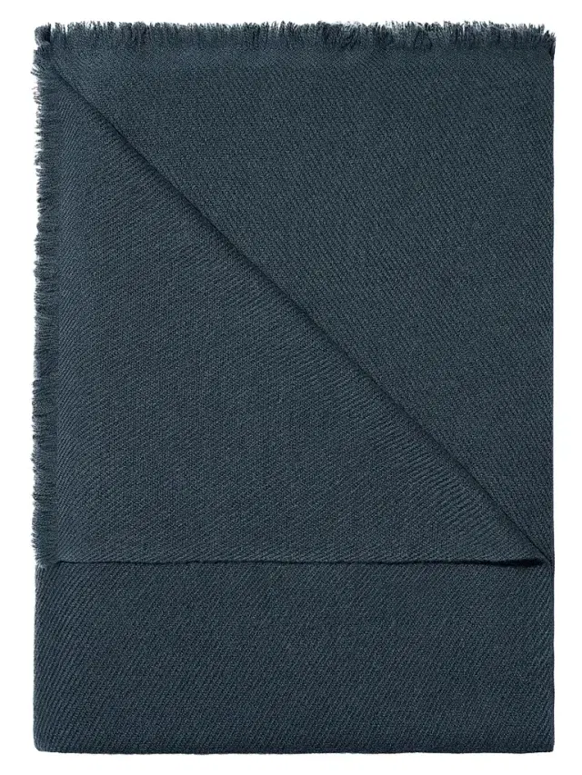AERIN Introduction Noe Throw