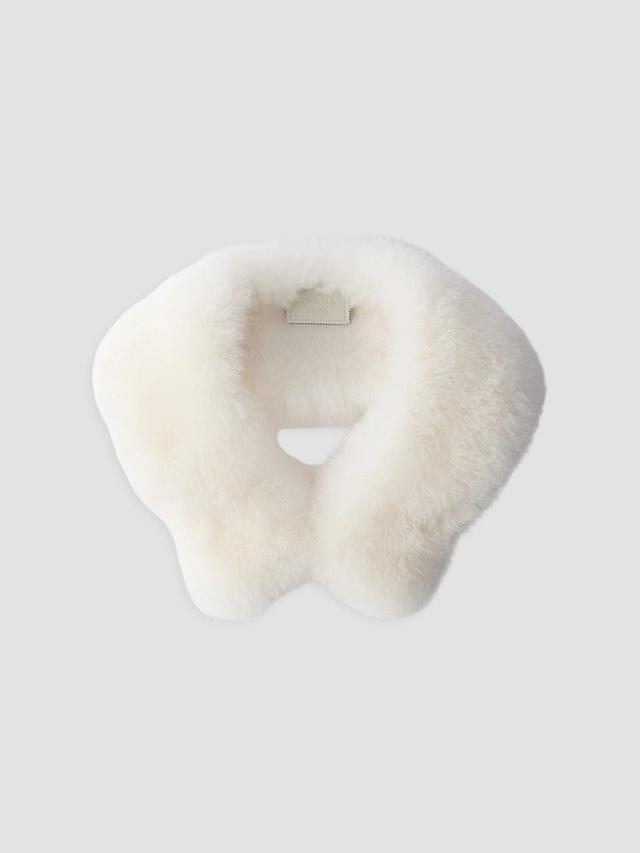 Prada Women's Cashmere Collar