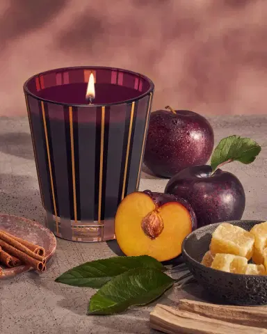NEST New York 8.1 oz. Autumn Plum Classic Candle | Thumbnail 3 NEST New York 8.1 oz. Autumn Plum Classic Candle | Thumbnail 3