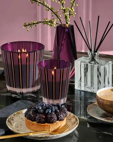 NEST New York 5.9 oz. Autumn Plum Reed Diffuser | Thumbnail 4 NEST New York 5.9 oz. Autumn Plum Reed Diffuser | Thumbnail 4