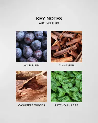 NEST New York 21.2 oz. Autumn Plum 3-Wick Candle | Thumbnail 5 NEST New York 21.2 oz. Autumn Plum 3-Wick Candle | Thumbnail 5