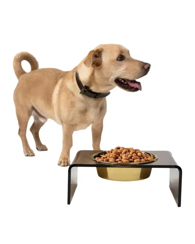 Hiddin Bronze Single Bowl Pet Feeder, 2 Quart