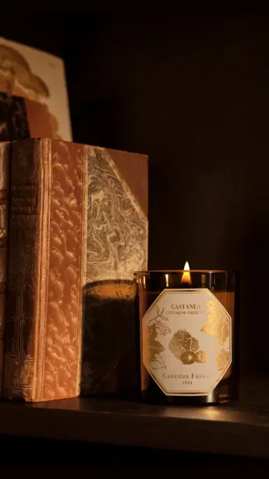 Carriere Freres Chestnut Candle No Color | Thumbnail 3