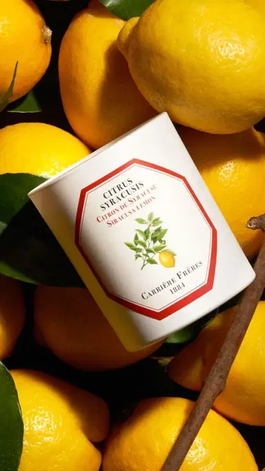 Carriere Freres Siracusa Lemon Candle No Color | Thumbnail 3 Carriere Freres Siracusa Lemon Candle No Color | Thumbnail 3