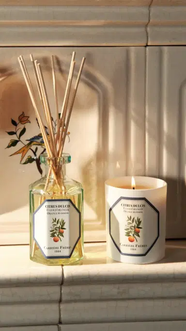 Carriere Freres Orange Blossom Candle No Color | Thumbnail 3 Carriere Freres Orange Blossom Candle No Color | Thumbnail 3