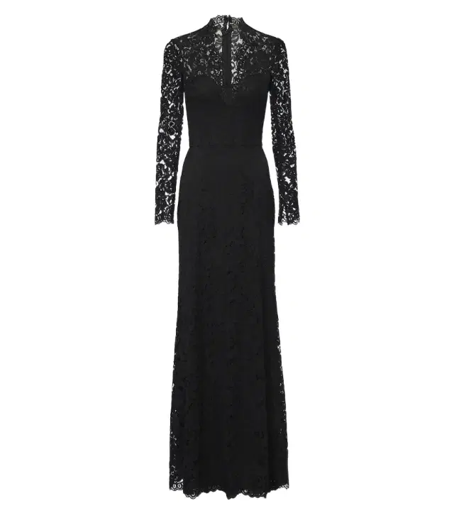 Lace cotton-blend bustier gown