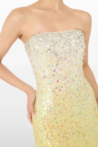 Jenny Packham Marle Saint Embellished Strapless Maxi Dress | Thumbnail 3