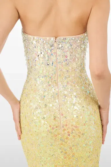 Jenny Packham Marle Saint Embellished Strapless Maxi Dress | Thumbnail 4