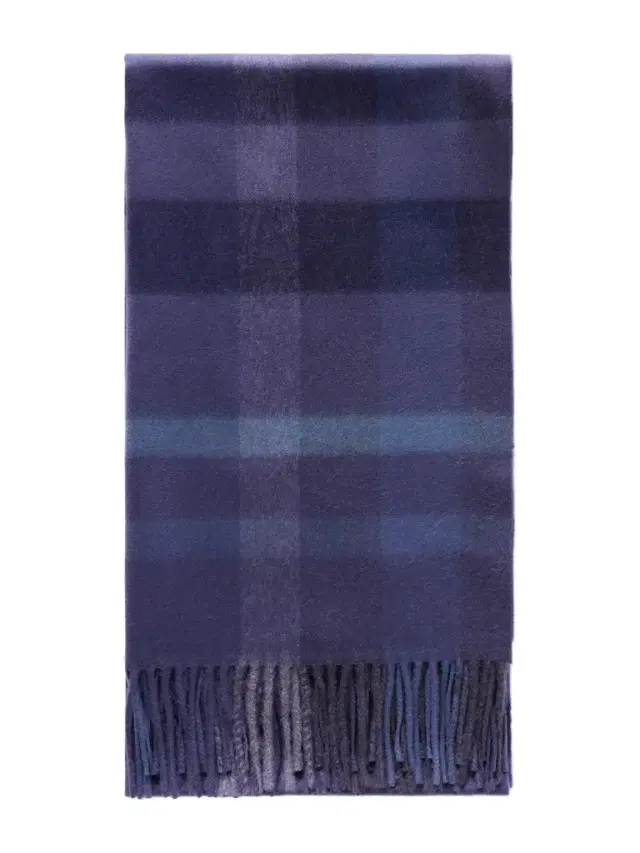 Johnstons of Elgin Tantallon Fringed Checked Cashmere Scarf - Men