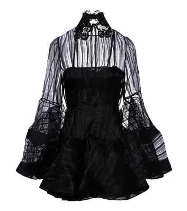 Zimmermann Valiant Lantern silk organza minidress | Thumbnail 1