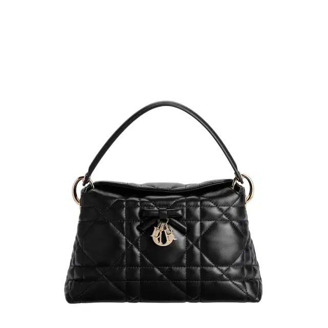 Dior Adiorable Top Handle Mini Bag