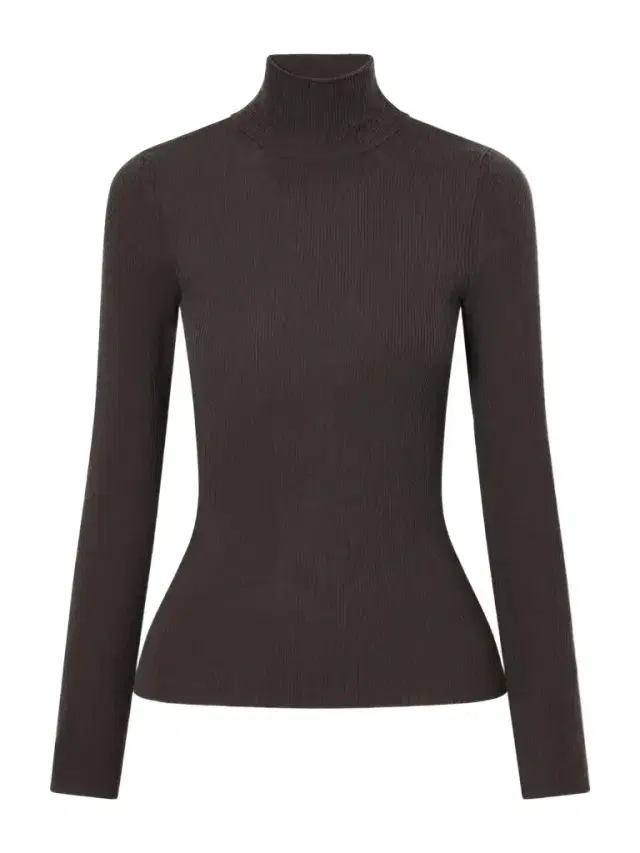 Cavallo Ribbed Wool Turtleneck