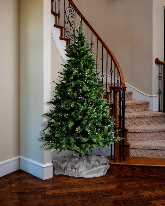 Barcana 7.5 ' Aspen Pine Tree